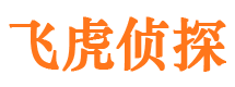 内乡市调查公司